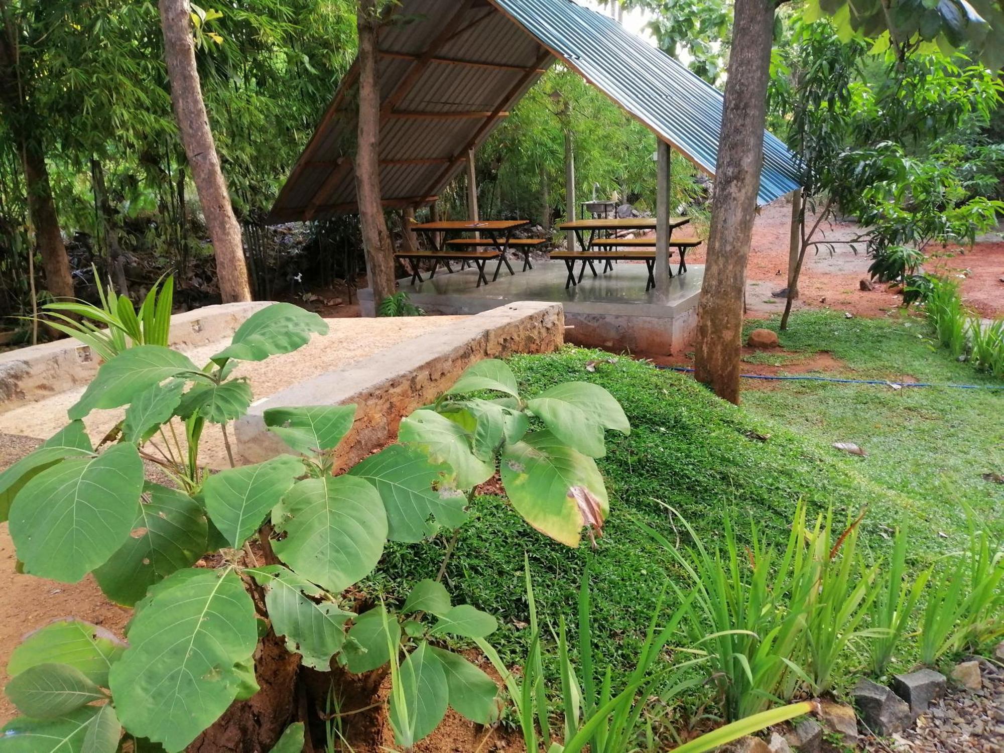 Malwathu Oya Forest Garden 아누라다푸라 외부 사진